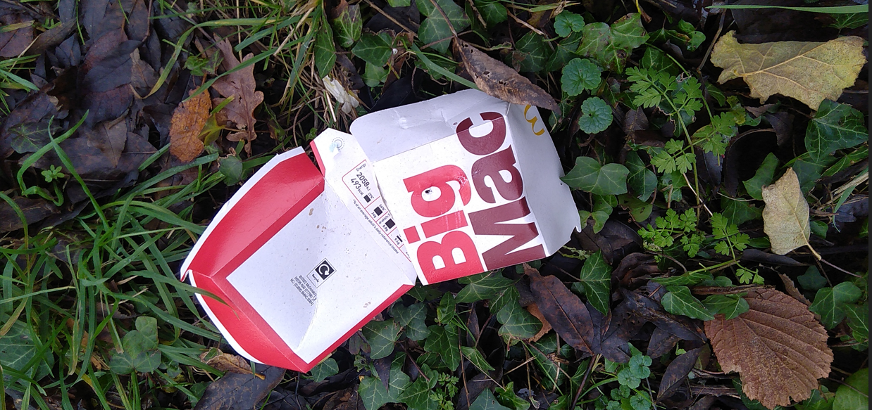 an example of fast litter FLOC1